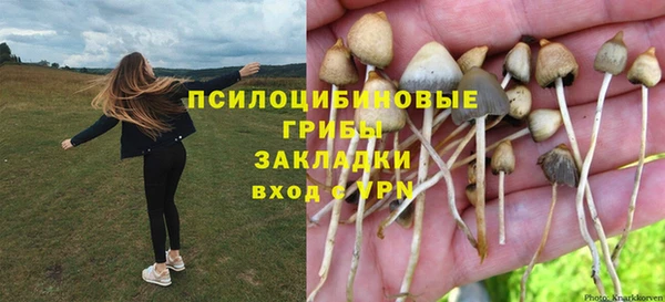 крисы Алексеевка