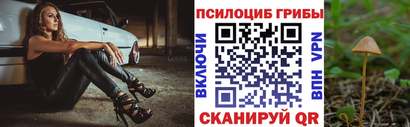 Галлюциногенные грибы Cubensis Заринск